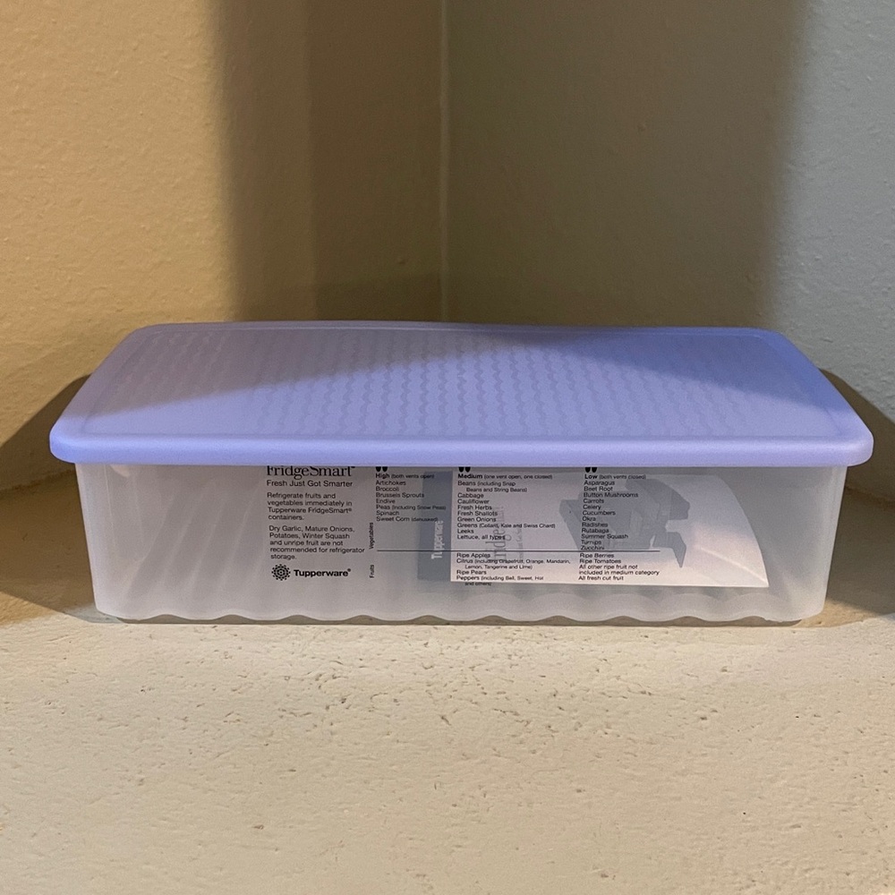 Tupperware Fridgesmart Medium Long Rectangle Container